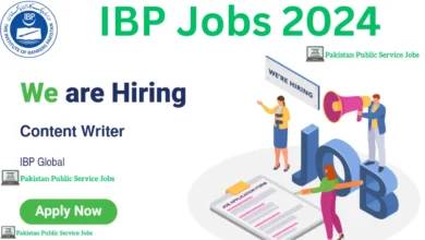 IBP jobs 2024
