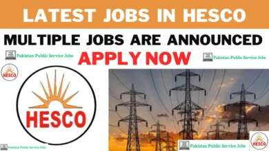 Hyderabad Electric Supply Company jobs
